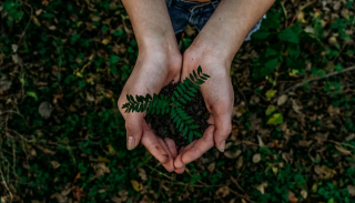 actions pour la planète