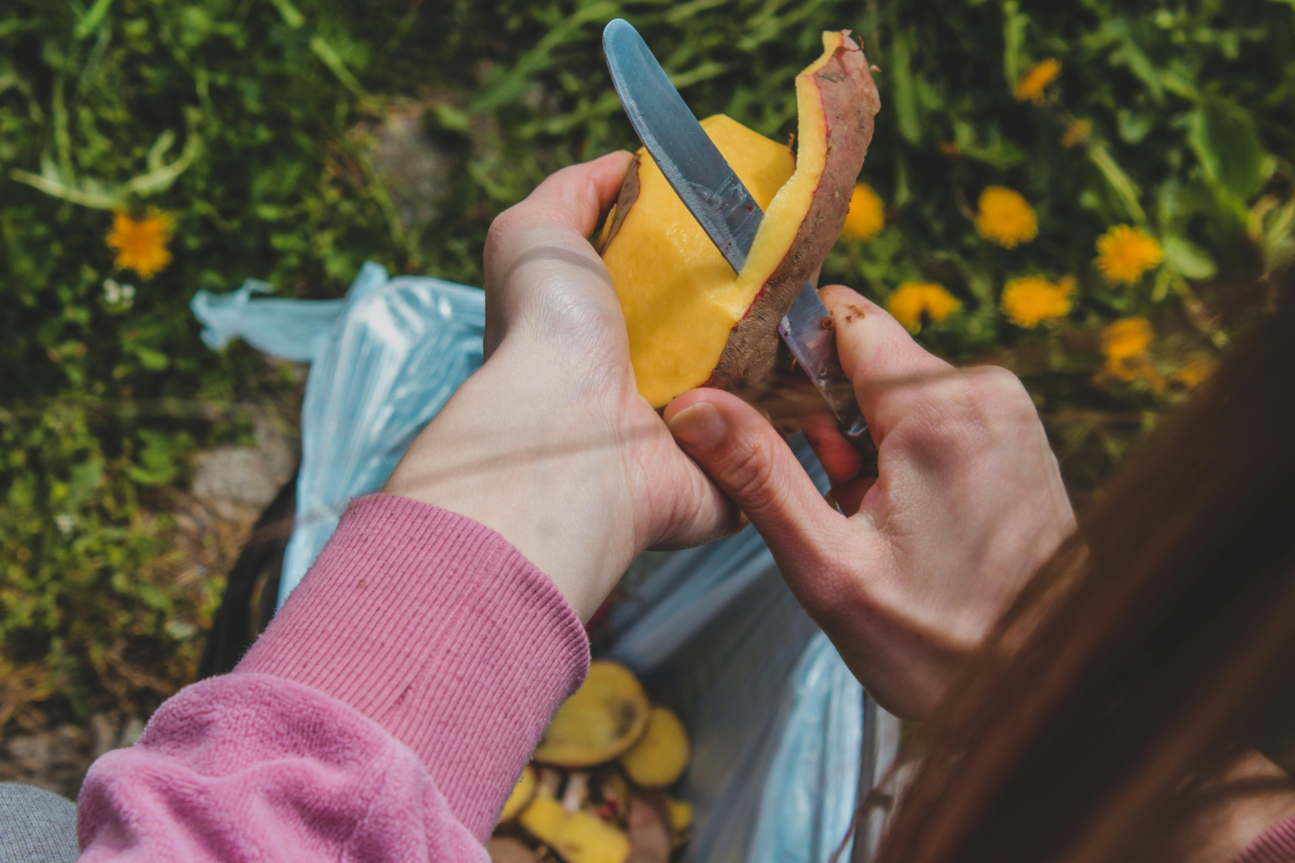 réduire-le-gaspillage-alimentaire